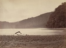 Tropical Scenery, The Terminus of the Proposed Canal, Limon Bay, 1871. Creator: John Moran.