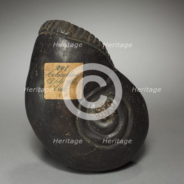 Large Snail, before 1921. Creator: Unknown.