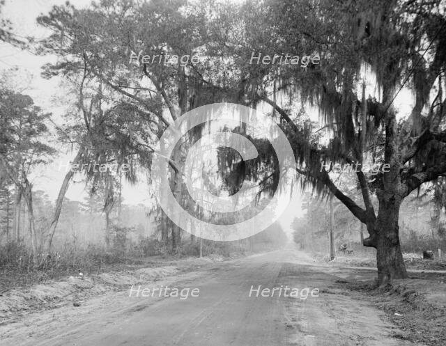 Auto course, Savannah, Ga., between 1900 and 1920. Creator: Unknown.