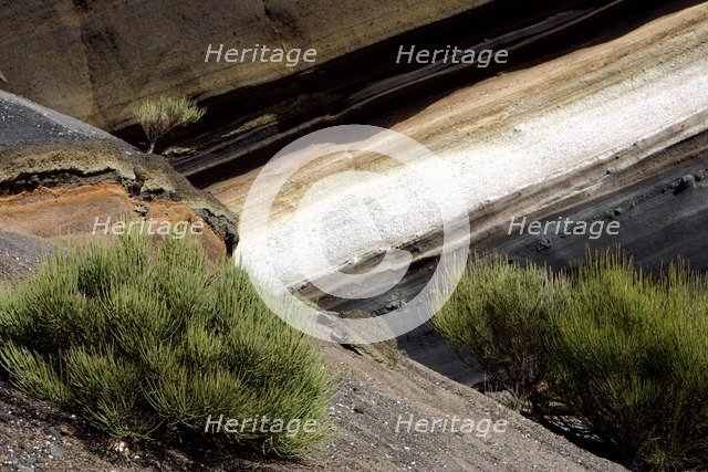 Vegetation and rock formations, Parque Nacional del Teide, Tenerife, Canary Islands, 2007.
