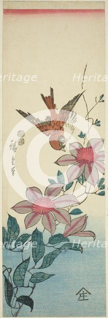 Sparrow and clematis, c. 1847/52. Creator: Ando Hiroshige.