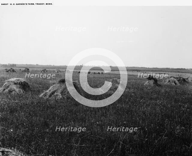 H.E. Garvin's farm, Tracey [sic], Minn., between 1880 and 1899. Creator: Unknown.