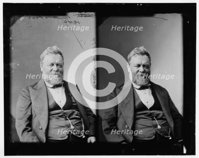 Benjamin Perley Poore of Massachusetts, 1865-1880. Creator: Unknown.