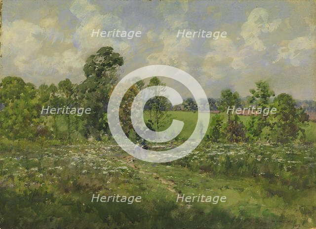 Flowery Meadow, 1910. Creator: William Henry Holmes.