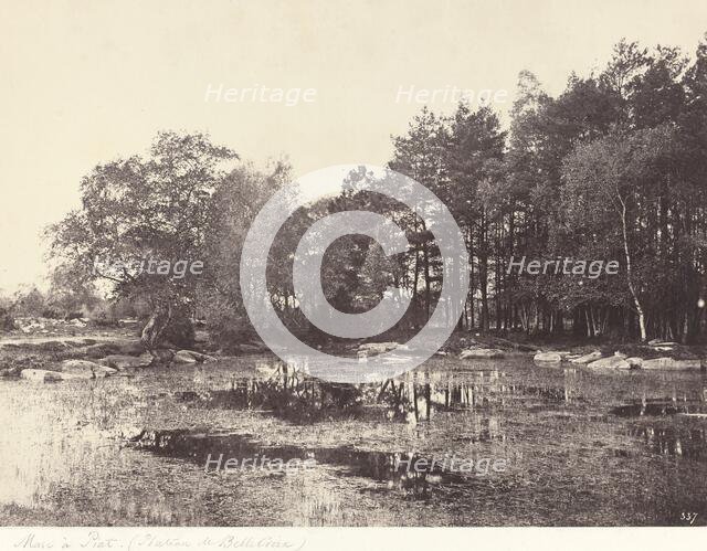 Marsh at Piat (Belle-Croix Plateau), c. 1863. Creator: Eugène Cuvelier.