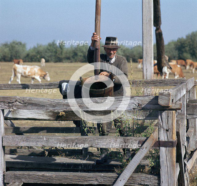 Raising water for cattle from a well in Hungary. Artist: CM Dixon Artist: Unknown