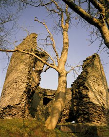 The keep with trees, Longtown Castle, Herefordshire, 1992. Artist: Unknown