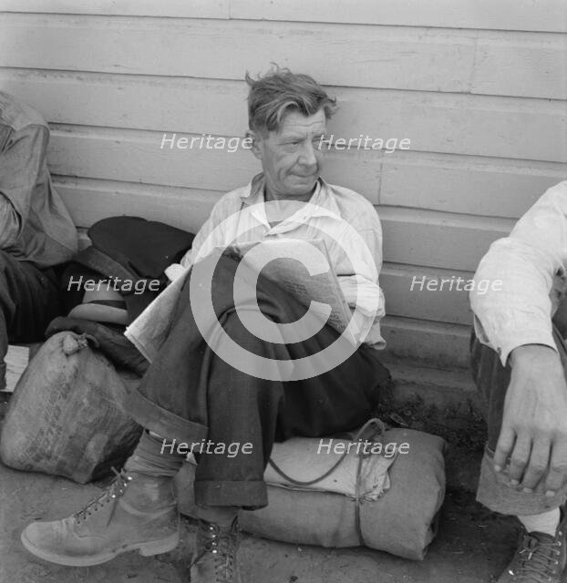 Single man, three weeks before opening of Klamath..., Tulelake, Siskiyou County, California, 1939. Creator: Dorothea Lange.