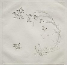 Parisian Service (Haviland service): The Fight (no. 2), 1875. Creator: Félix Bracquemond (French, 1833-1914).