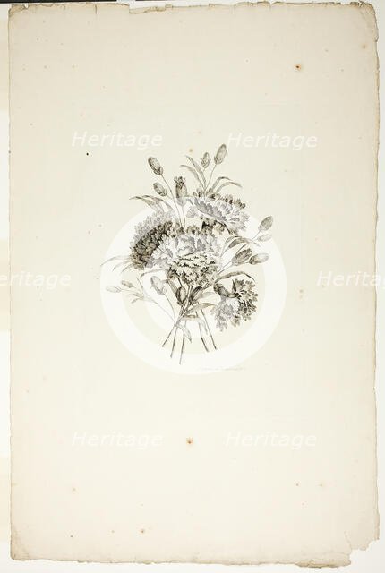 Bouquet with Carnations, from Collection of Different Bouquets of Flower..., published July 4, 1760. Creator: Pierre-Charles Canot.