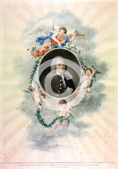 Carolus Linnaeus, Swedish naturalist and physician, 1807. Artist: Unknown