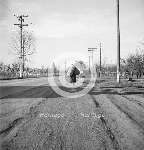 More than twenty-five years a bindle-stiff..., Napa Valley, California, 1938. Creator: Dorothea Lange.