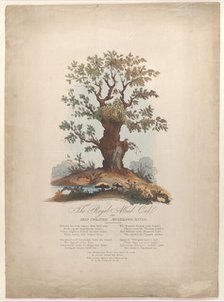 The Royal Allied Oak and Self-Created Mushroom Kings, May 29, 1815. Creator: William Heath.