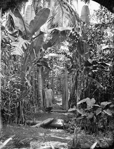 Annam, Cochin China (Vietnam), 1867. Creator: John Thomson.