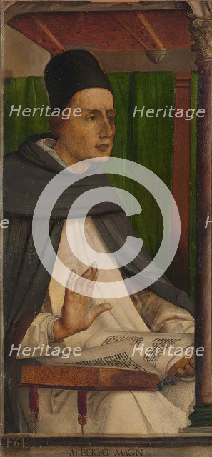 Albertus Magnus.