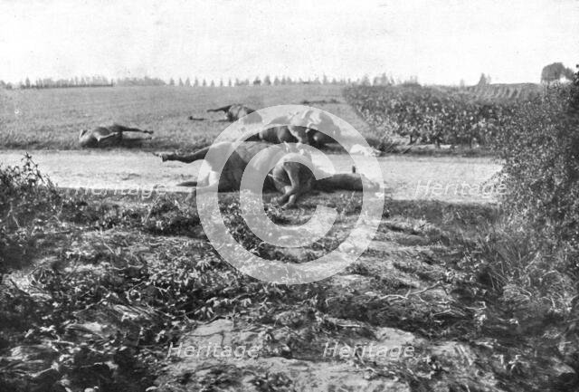 'Le Champ de Bataille; Sur le terrain du combat de Haelen, lles cadavres de chevaux', 1914 Creator: Unknown.