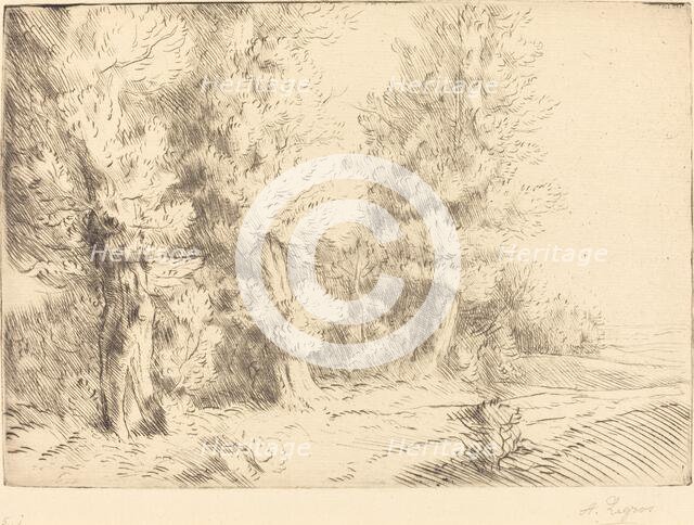 In the Forest of Fontainebleau (Dans la foret de Fontainebleau). Creator: Alphonse Legros.