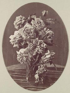 [Roses], ca. 1875. Creator: Eugène Chauvigné.