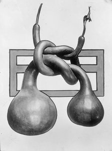 Chinese Gourds, 1913. Creator: Harris & Ewing.