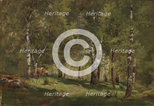 Birch Grove, 1865. Creator: Hjalmar Munsterhjelm.