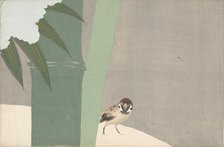 Settchu-take (Bamboo in Snow). From the series "A World of Things (Momoyogusa)", 1909-1910. Creator: Sekka, Kamisaka (1866-1942).