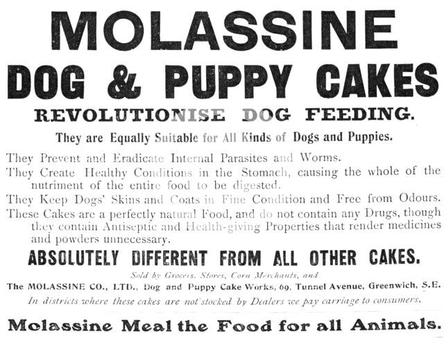 Molassine Dog & Puppy Cakes revolutionise dog feeding - equally suitable for all kinds of dogs, 1909 Creator: Unknown.