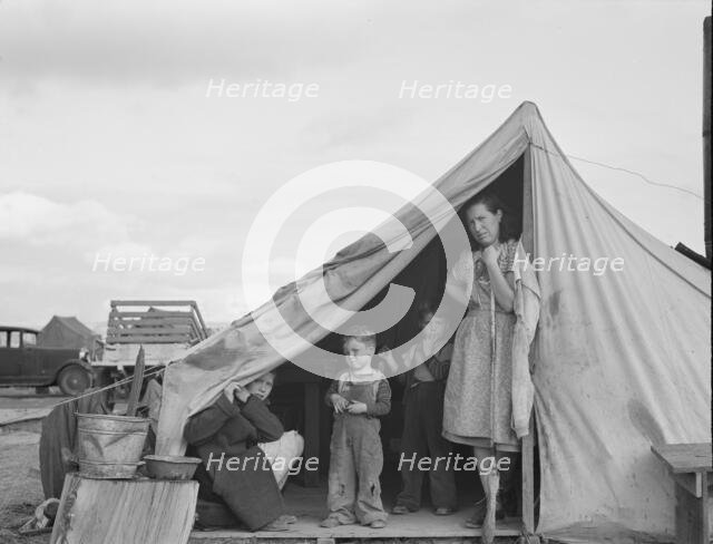 This family came to the potato harvest after the..., FSA camp, Merrill, Klamath County, Oregon, 1939 Creator: Dorothea Lange.
