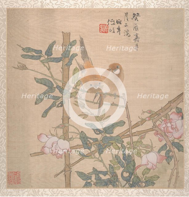Two Birds Perched on a Flowering Rose Bush, late 19th century. Creator: Ren Yi.
