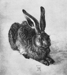 'Hare', 1502, (1936). Artist: Albrecht Dürer