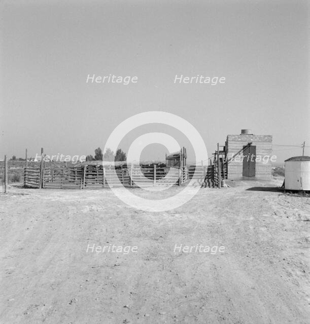 Country slaughterhouse for use of farmers, one mile north of Nyssa, Oregon, 1939. Creator: Dorothea Lange.