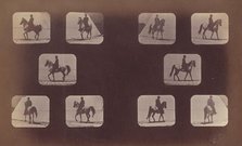 Studies of Foreshortenings. Horses. Walking. Mahomet. Nos. 119-120, 1879. Creator: Eadweard J Muybridge.