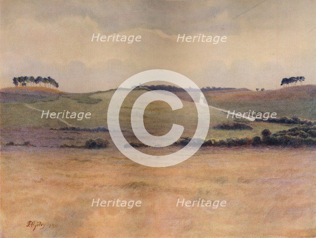 'Chobham Common', 1911, (1914). Artist: James S Ogilvy.