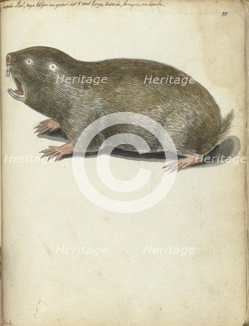 Cape Mole, 1786-1787. Creator: Jan Brandes.