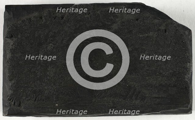 Woodblock for Man Fishing Under a Tree with Waterfall, n.d. Creator: Thomas Bewick.