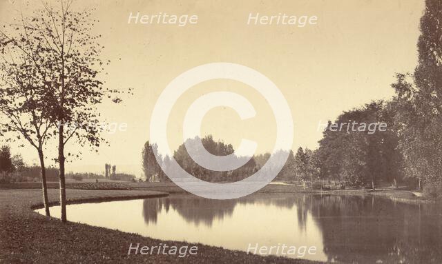 Bois de Boulogne, 1858. Creator: Charles Marville.