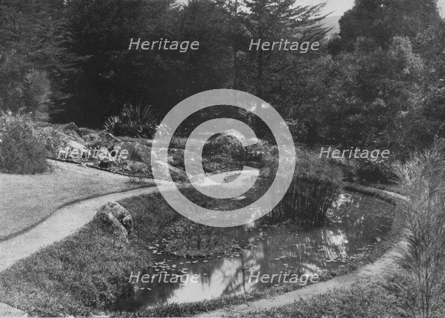 'The Rock Garden, Hakgalla Gardens, Nuwara Eliya', c1890, (1910). Artist: Alfred William Amandus Plate.