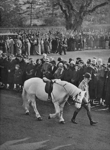 'The Empty Saddle: King George's white pony, Jock, being led in procession', 1936. Artist: Unknown.