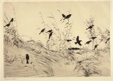 Blackbirds and Rushes, 1920. Creator: Frank Weston Benson.