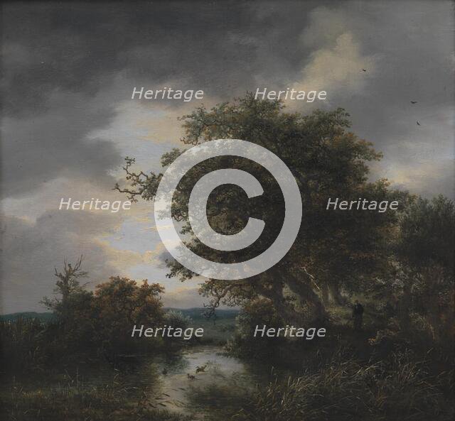 Oak Trees by a Pond, 1643-1682. Creator: Jacob van Ruisdael.