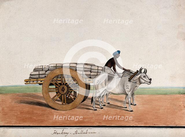 A man driving a bullock cart laden with sacks, (between 1800 and 1899?). Creator: Unknown.