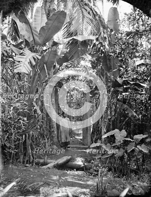 Annam, Cochin China (Vietnam), 1867. Creator: John Thomson.