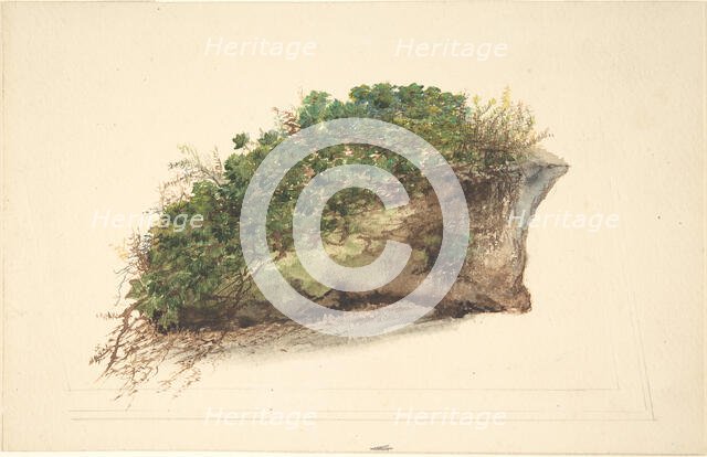 Study of a Piece of Turf, early 19th century. Creator: Anon.