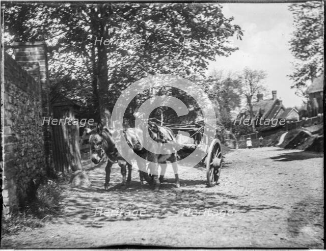 Upper Icknield Way, Whiteleaf, Princes Risborough, Wycombe, Buckinghamshire, 1910. Creator: Katherine Jean Macfee.