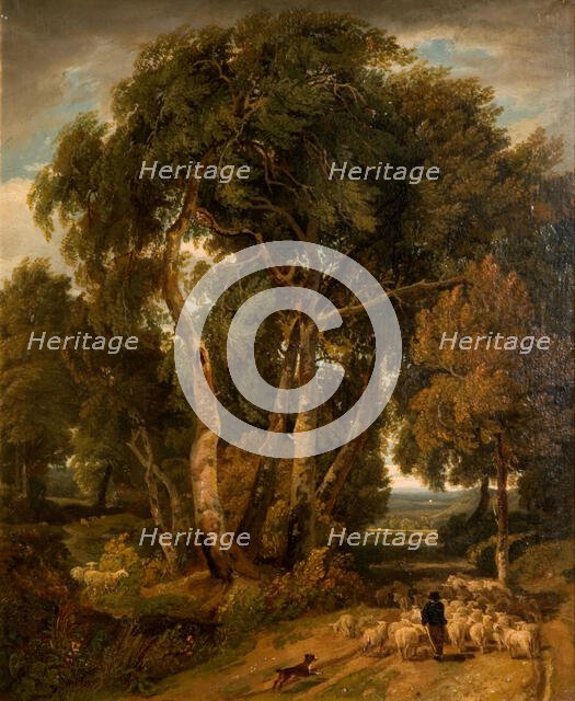 Driving Home The Flock, 1806. Creator: William Havell.