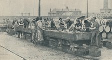 'An Important Part of the Industry. Scottish girls busy gutting at Yarmouth', 1937. Artist: Unknown.