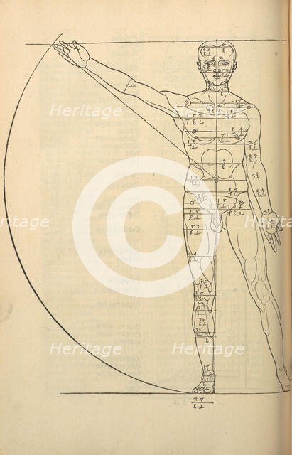 Illustration from the Four Books on Human Proportion, 1528. Creator: Dürer, Albrecht (1471-1528).