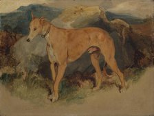 A Deerhound, 1826. Creator: Edwin Henry Landseer.