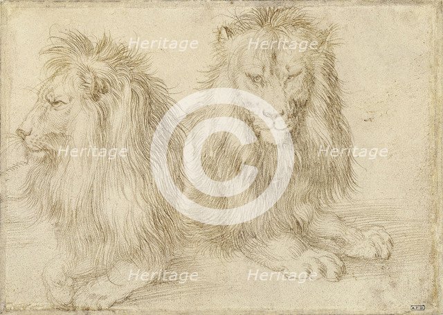Two seated lions, 1521. Artist: Dürer, Albrecht (1471-1528)
