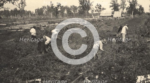 View of the road construction near the village of Practichi, 1909. Creator: Vladimir Ivanovich Fedorov.