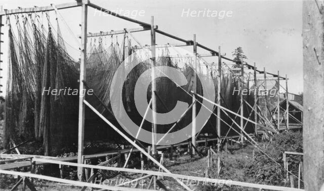 Drying nets, between c1900 and c1930. Creator: Unknown.